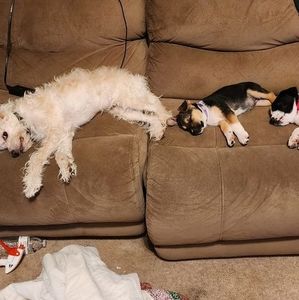 Meet your Posher, Julieann